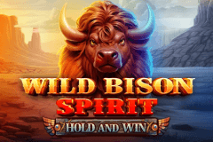 Wild Bison Spirit Hold And Win logo