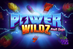 Power Wildz: Fruit Saga logo