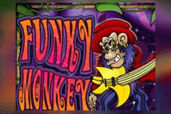 Funky Monkey logo