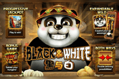 Black & White logo