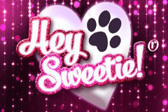 Hey Sweetie logo