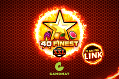 40 Finest XXL Flaming Link logo