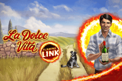 La Dolce Vita Flaming Link logo
