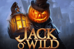 Jack O'Wild logo