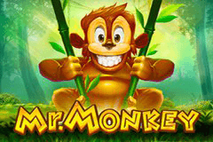 Mr. Monkey logo