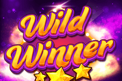 Wild Winner logo