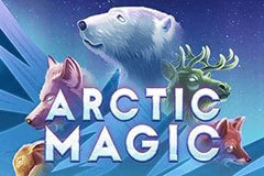 Arctic Magic logo