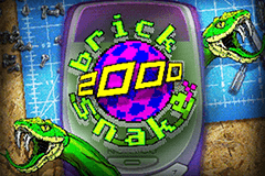Brick Snake 2000 logo