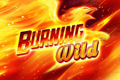 Burning Wild logo