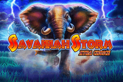 Savannah Storm logo
