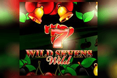 Wild Sevens logo