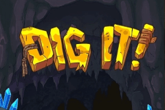 Dig It logo