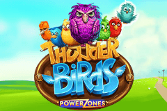 Thunder Birds Power Zones logo