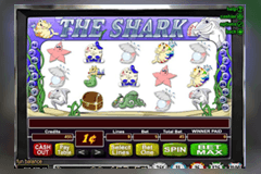 The Shark logo