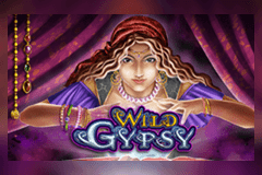 Wild Gypsy logo