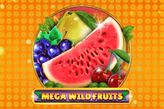 Mega Wild Fruits logo