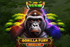 Gorilla Fury Hold & Hit logo