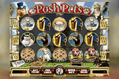 Posh Pets logo