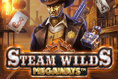 Steam Wilds Megaways logo