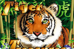 Tiger Treasures logo