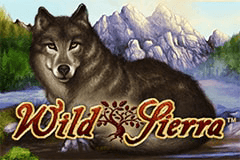 Wild Sierra logo