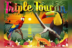 Triple Toucan logo