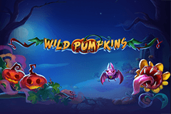 Wild Pumpkins logo