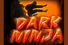 Dark Ninja logo