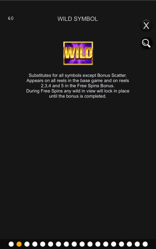 Wild Symbol