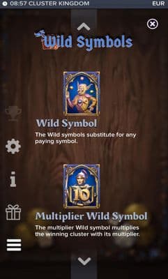 Wild Symbol