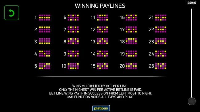 Paylines 1-25