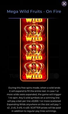 Expanding Wilds