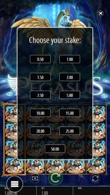 Choose your stake