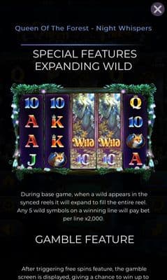 Expanding Wild Symbol