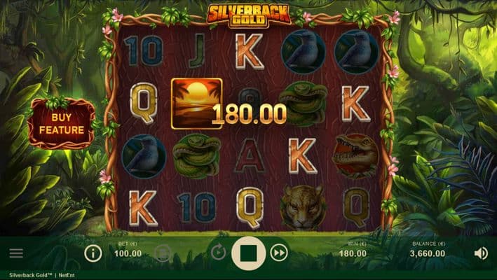 Five of a kind win