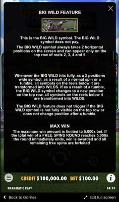 Big Wild