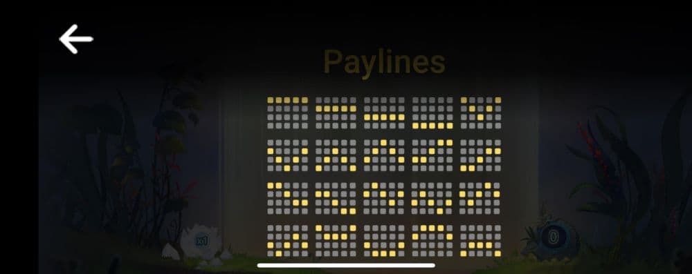 Paylines 1-20