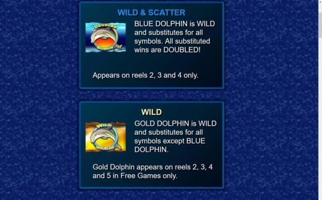 Wild and Scatter Symbols Rules and Pays