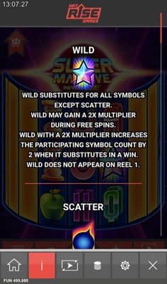Wild Symbol