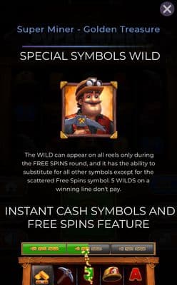 Wild Symbol