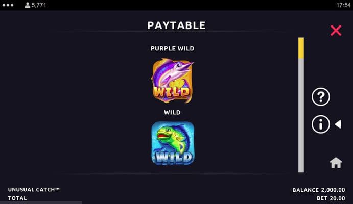 Wild Symbol