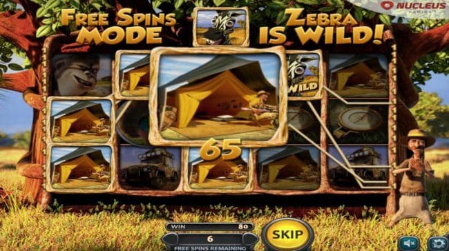 Multiple winning paylines triggered during the free spins bonus feature