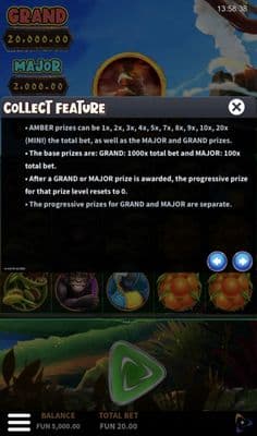 Feature Rules