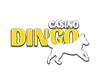 Casino Dingo