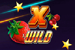 X Wild logo