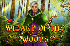 Wizard of the Woods logo