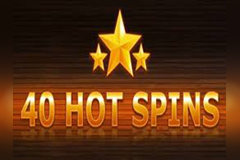 40 Hot Spins logo