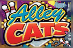 play the Alley Cats Slot