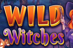 Wild Witches logo
