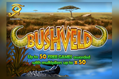 Bushveld logo
